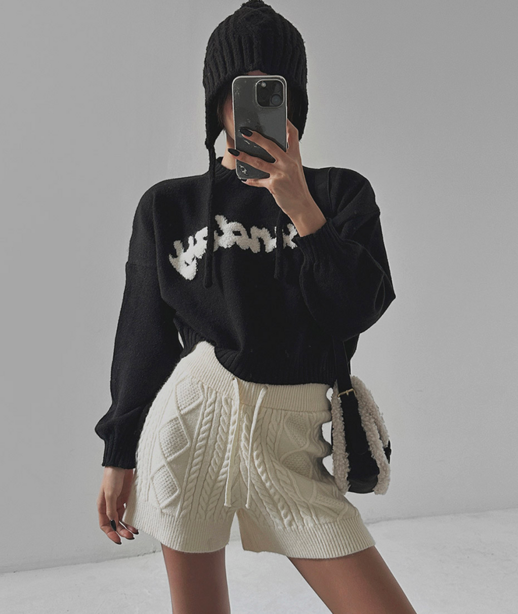 韓國 streets lagirl 羊羔毛麂皮相機包