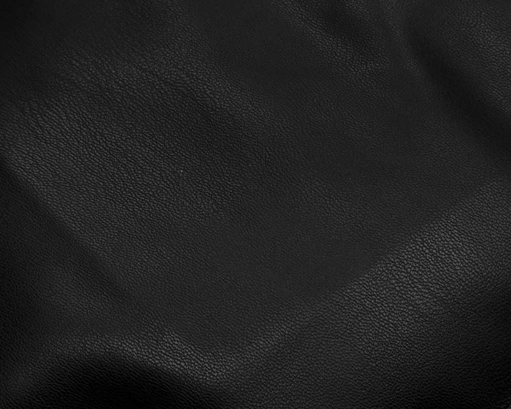 韓國 streetfs lagirl 皮革羽絨背心